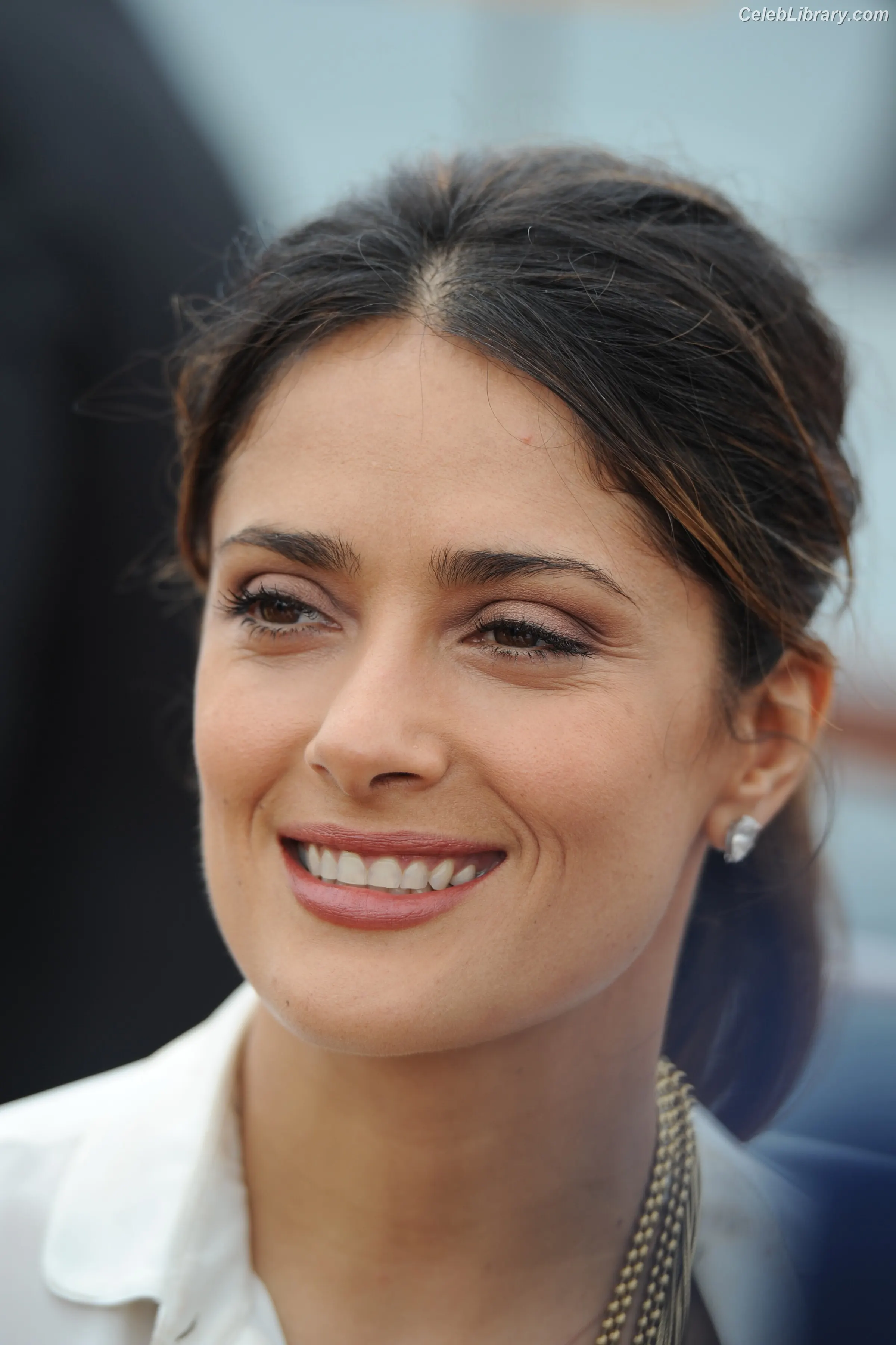 Salma Hayek photo 1 of 3054