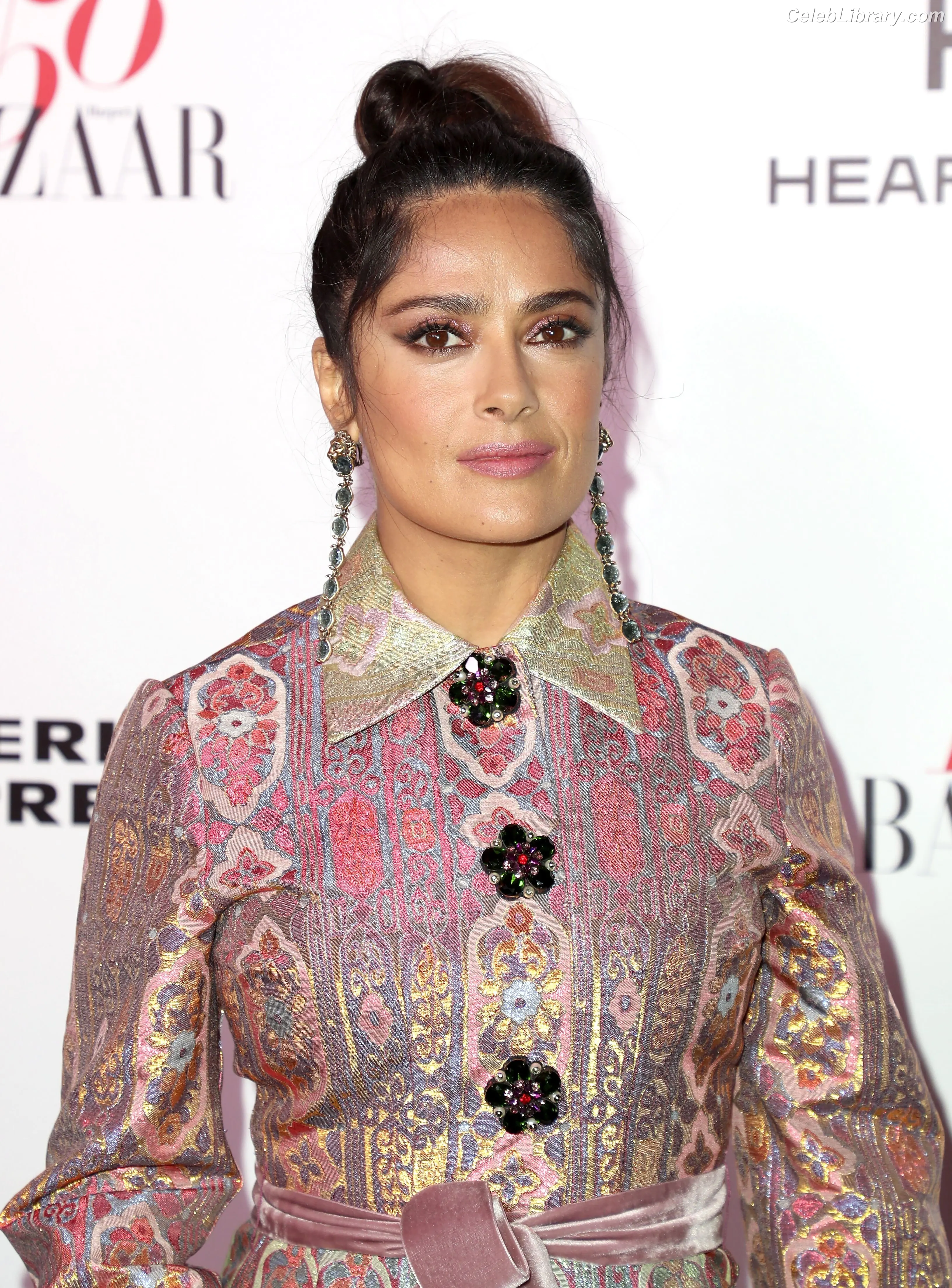 Salma Hayek photo 7 of 3054