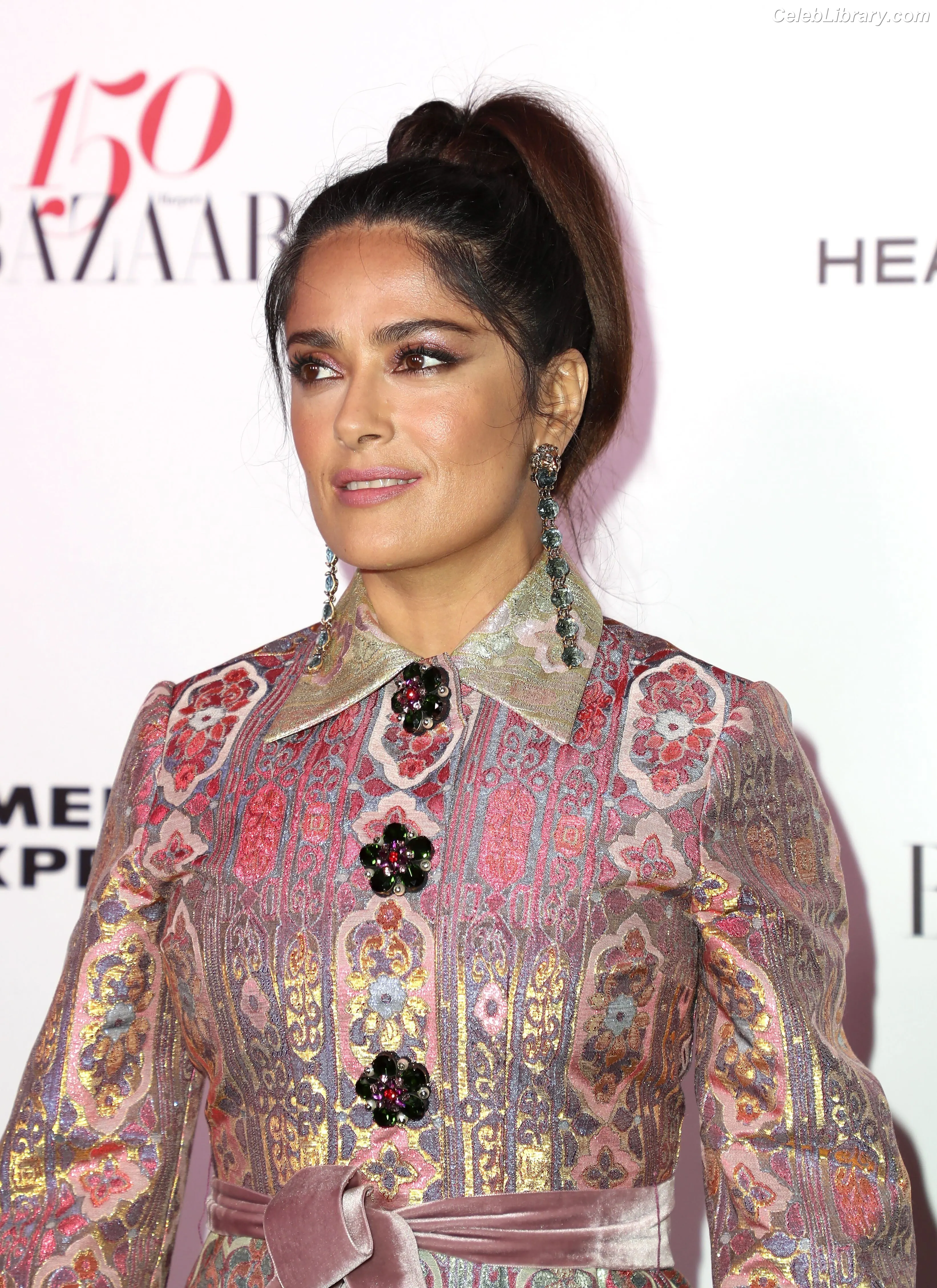 Salma Hayek photo 9 of 3054