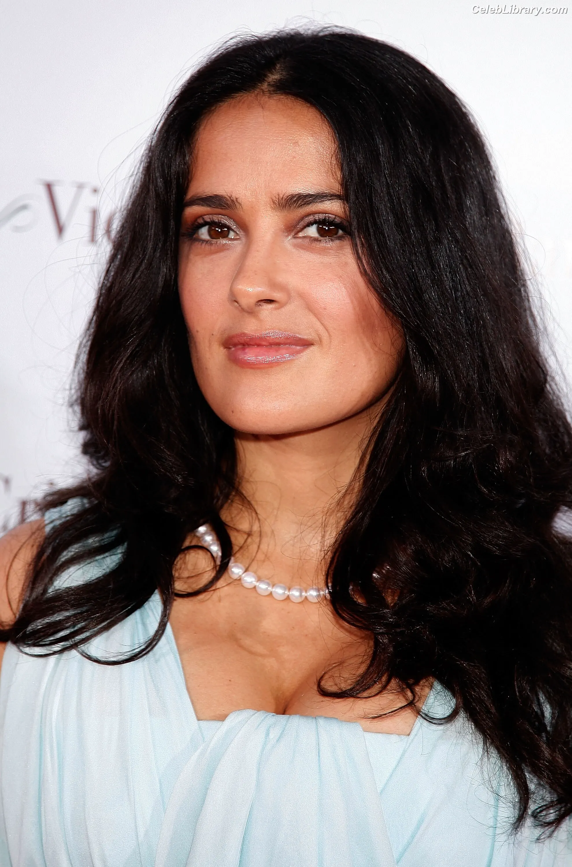 Salma Hayek photo 16 of 3054