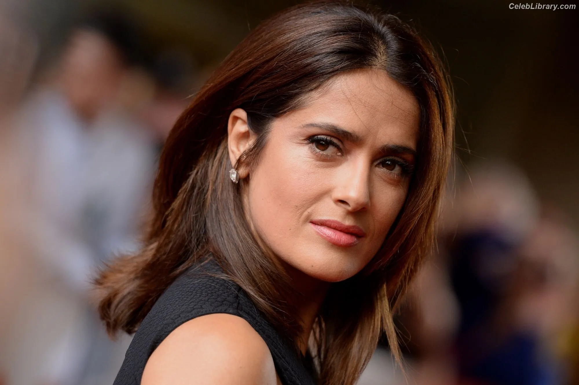 Salma Hayek photo 17 of 3054