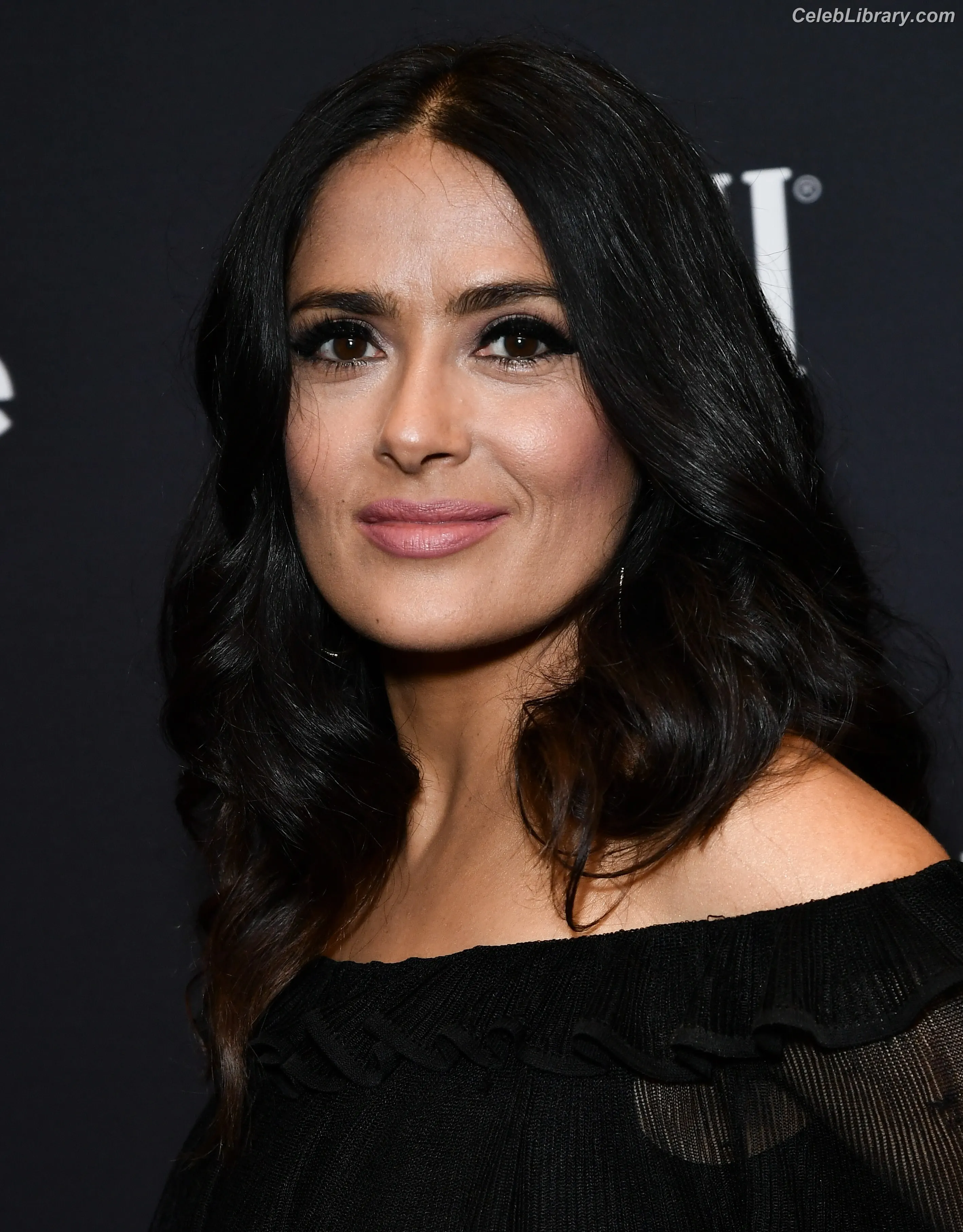 Salma Hayek photo 20 of 3054
