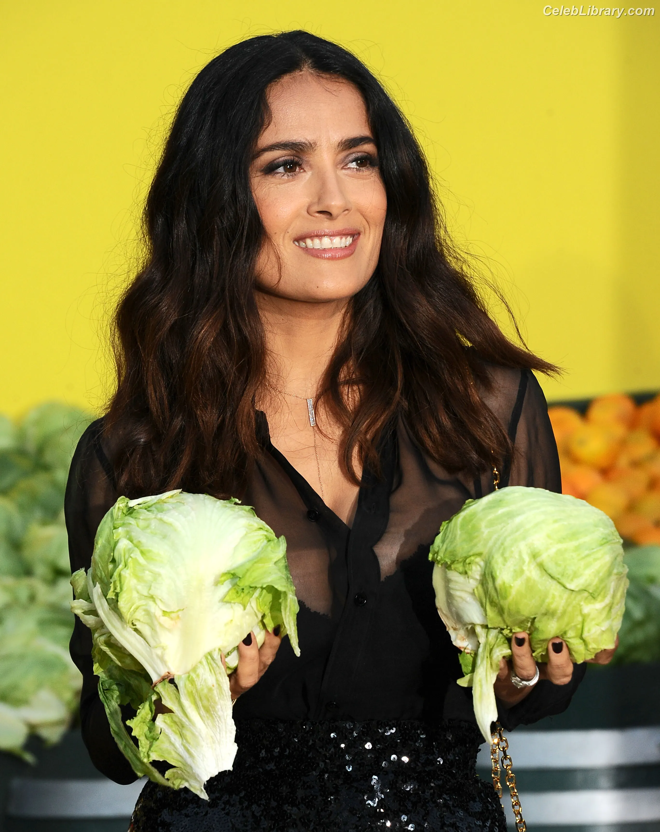 Salma Hayek photo 19 of 3054