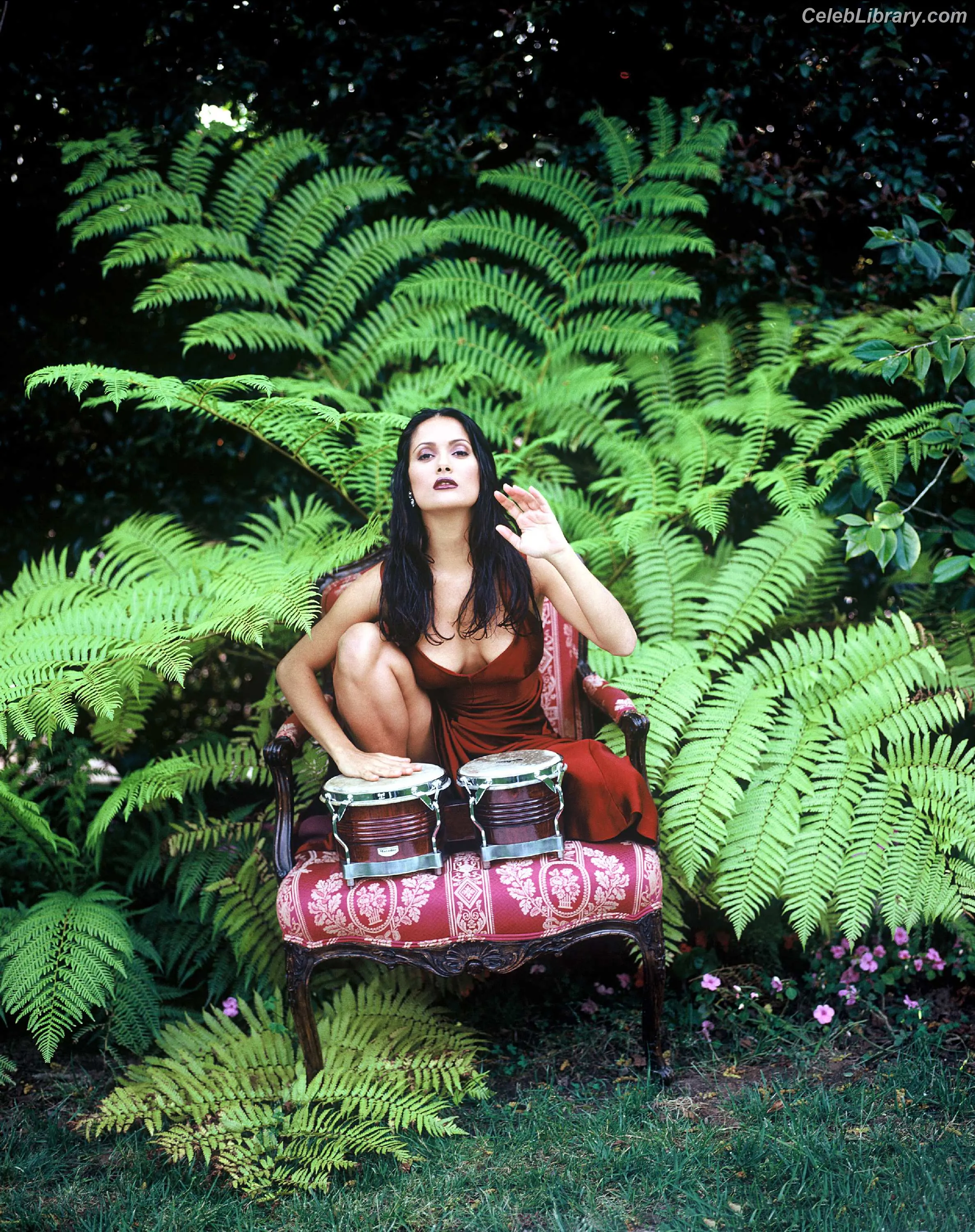 Salma Hayek photo 16 of 3054