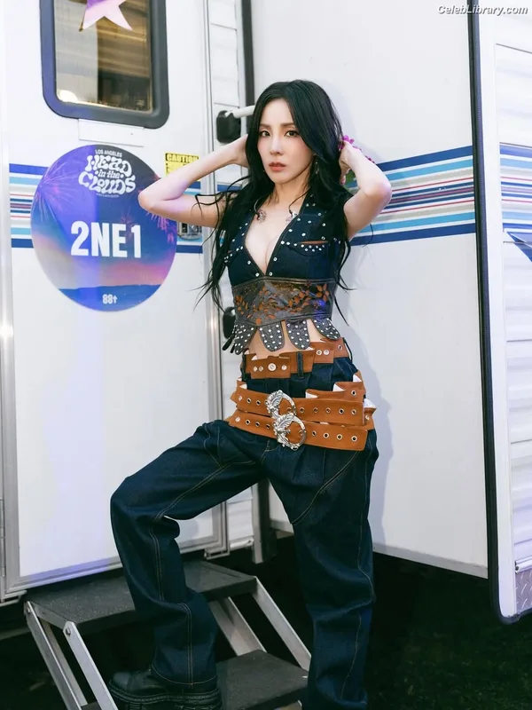 Sandara Park (2NE1) photo 11 of 40