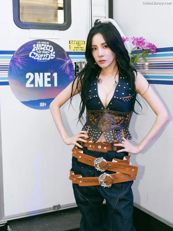 Sandara Park (2NE1) photo 12 of 40