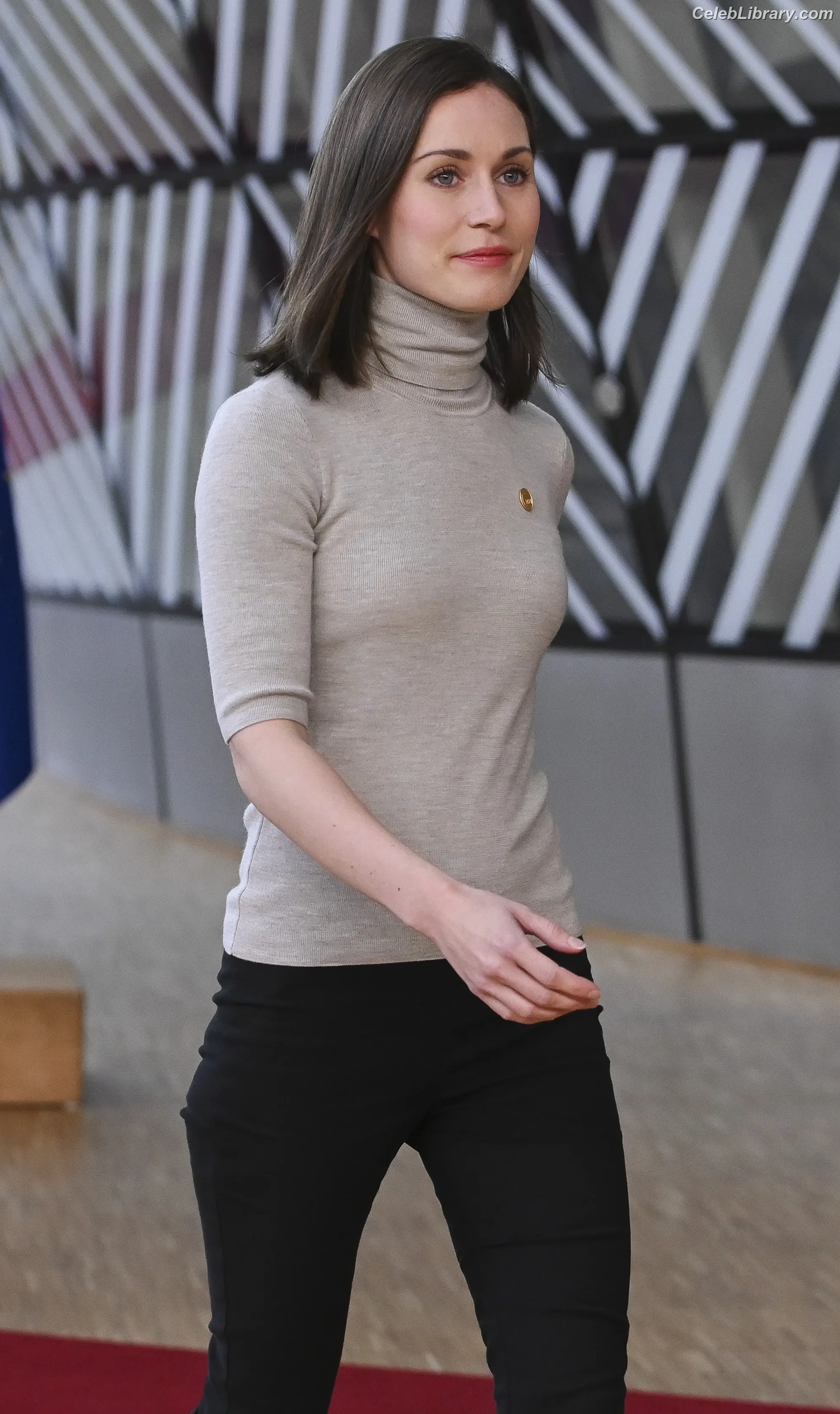 Sanna Marin photo 9 of 241
