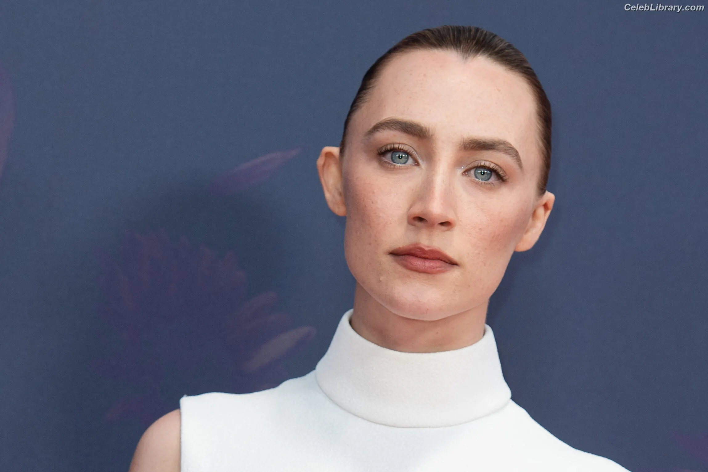 Saoirse Ronan photo 14 of 406