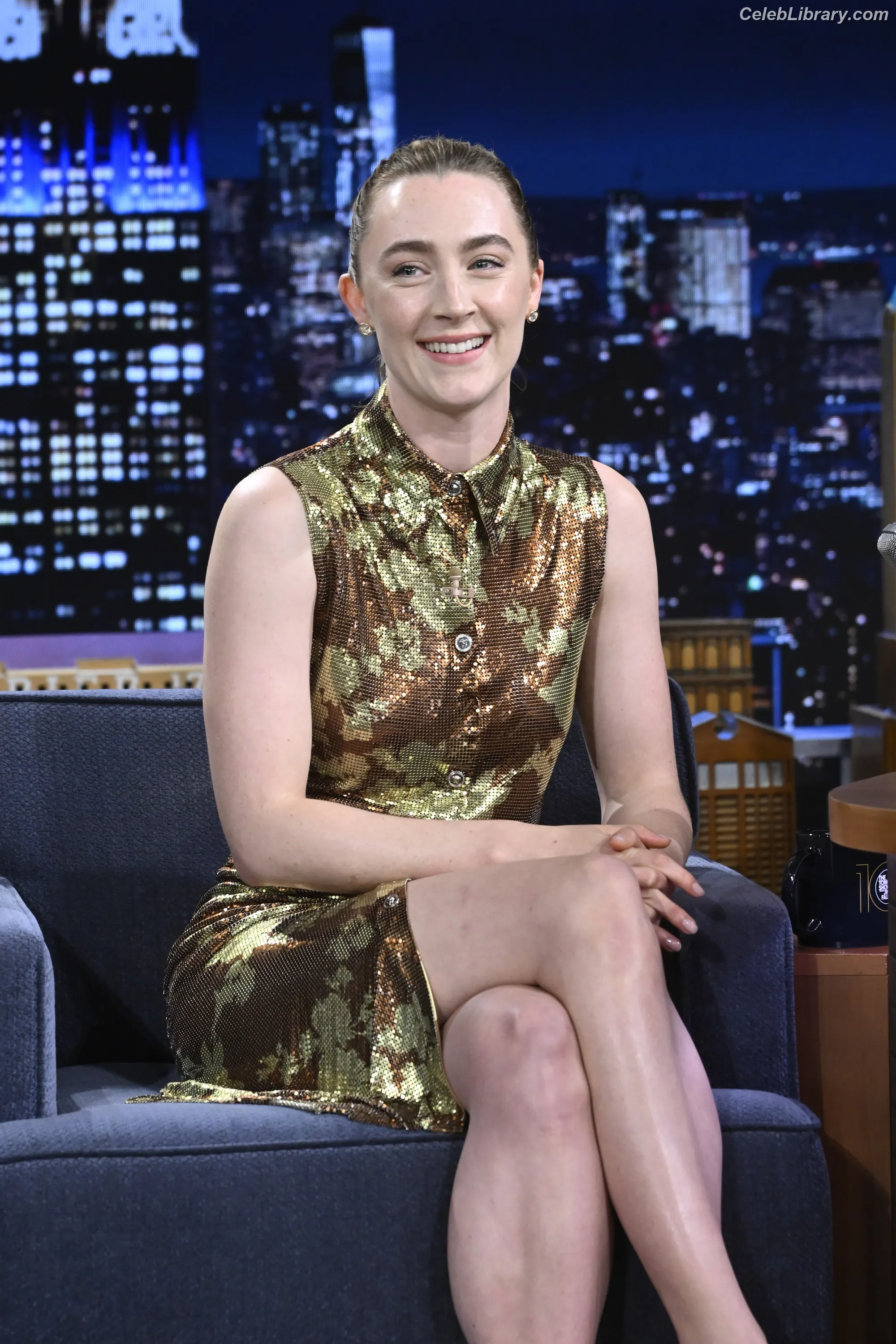 Saoirse Ronan photo 9 of 406