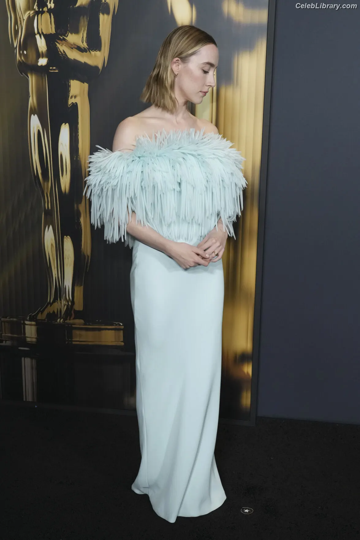 Saoirse Ronan photo 17 of 406
