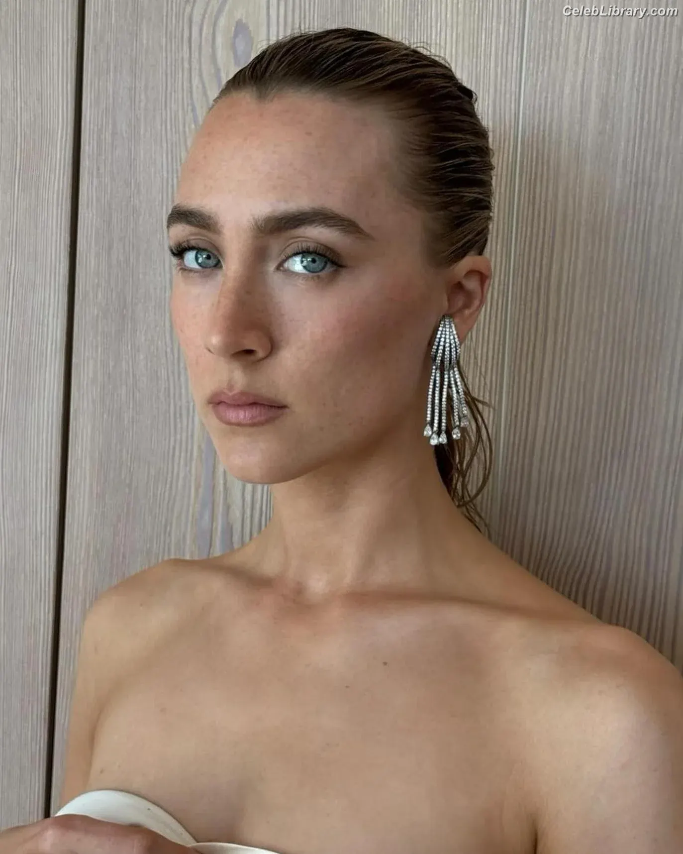 Saoirse Ronan photo 2 of 406