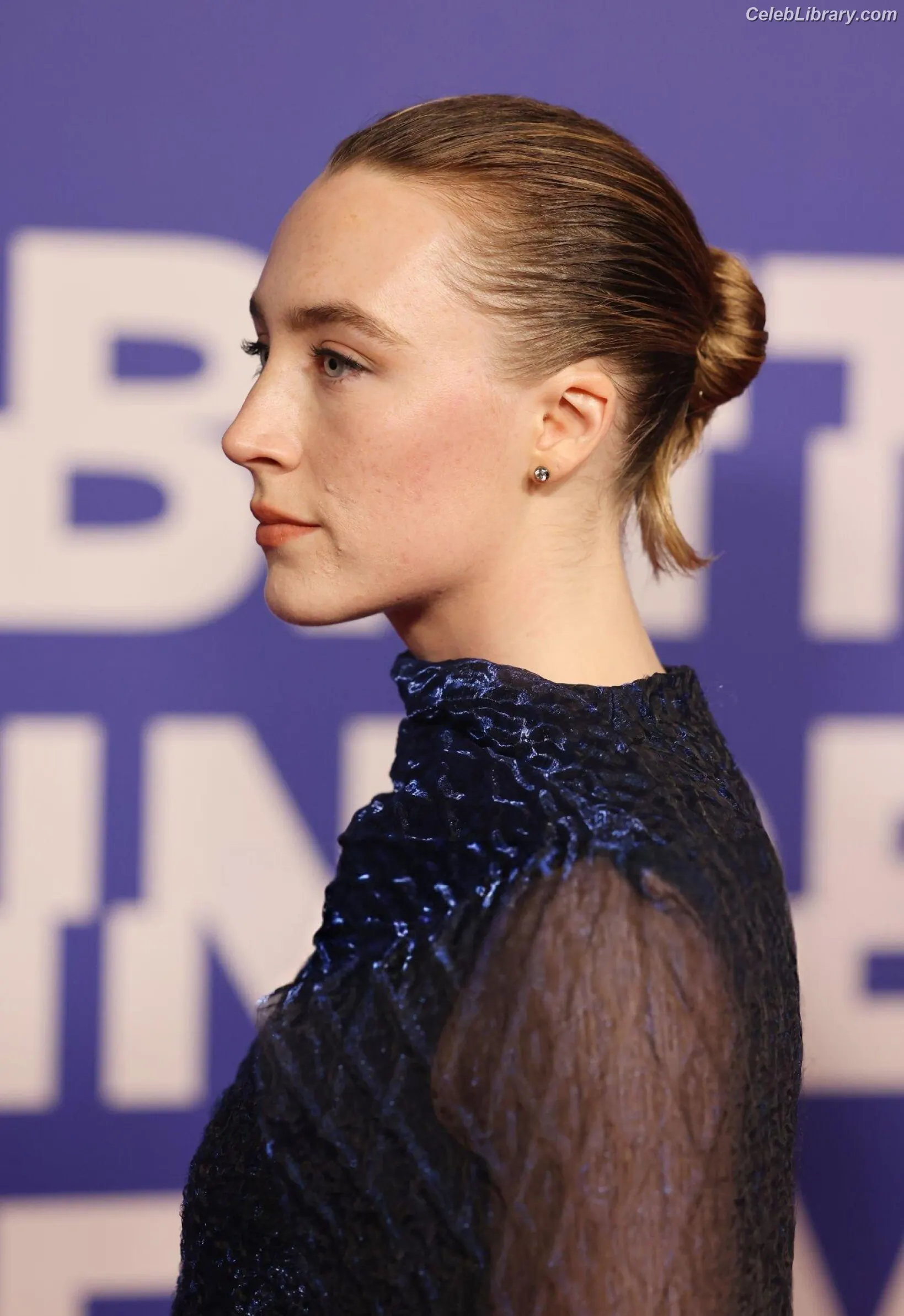 Saoirse Ronan photo 7 of 406