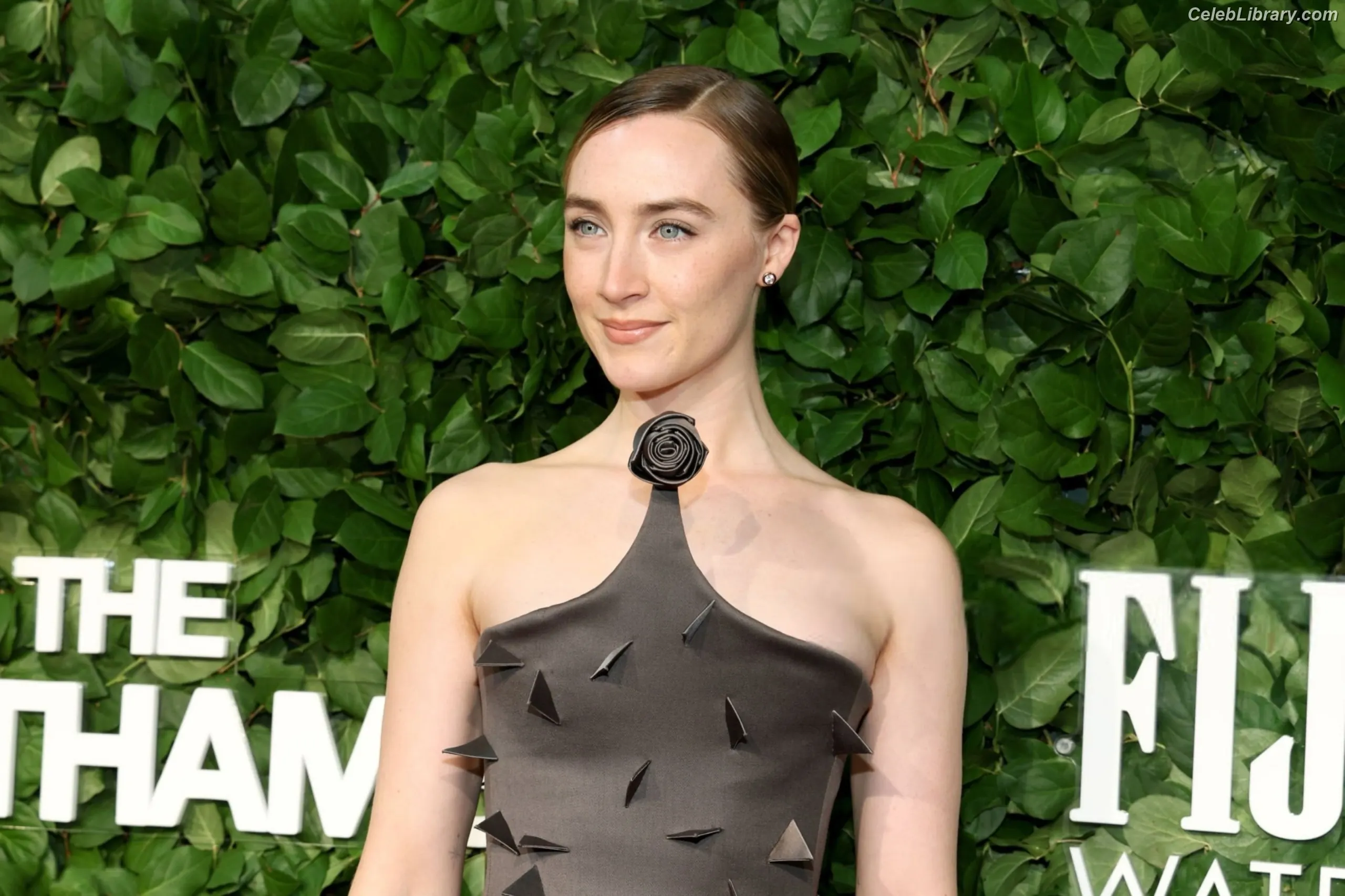 Saoirse Ronan photo 24 of 406