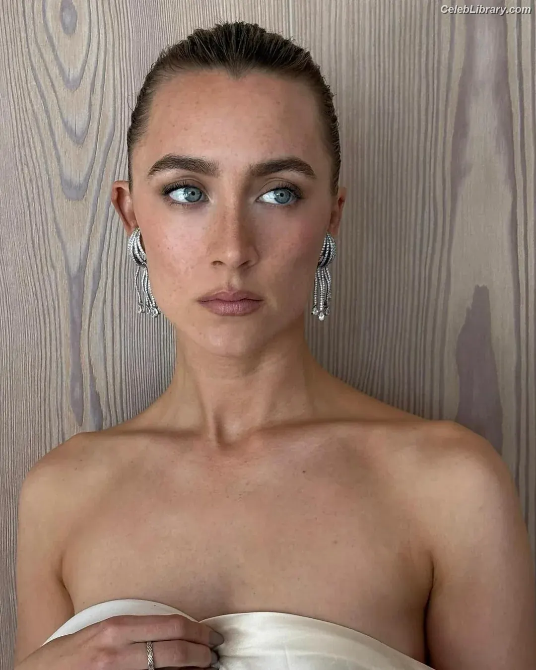 Saoirse Ronan photo 17 of 406