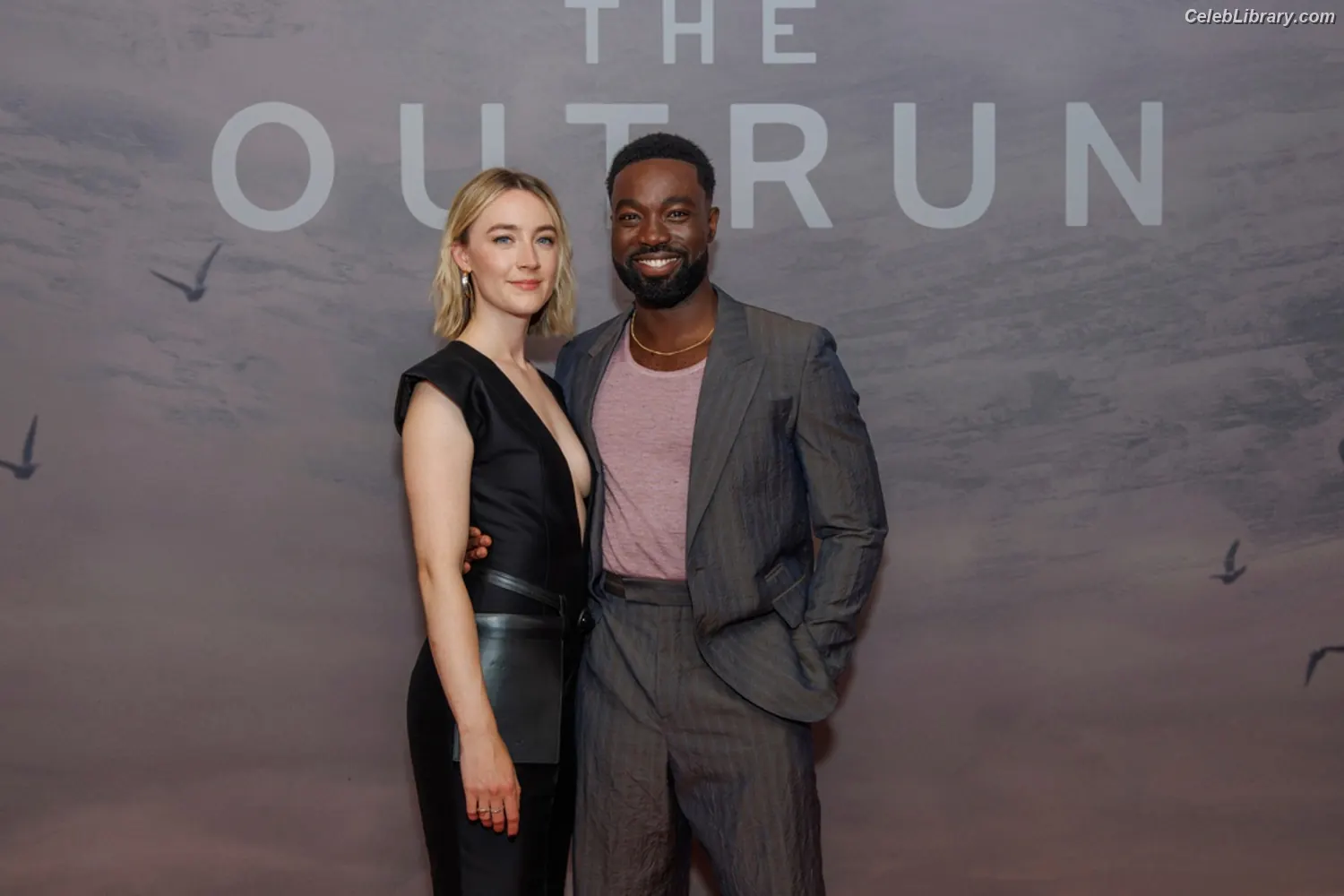 Saoirse Ronan photo 21 of 406