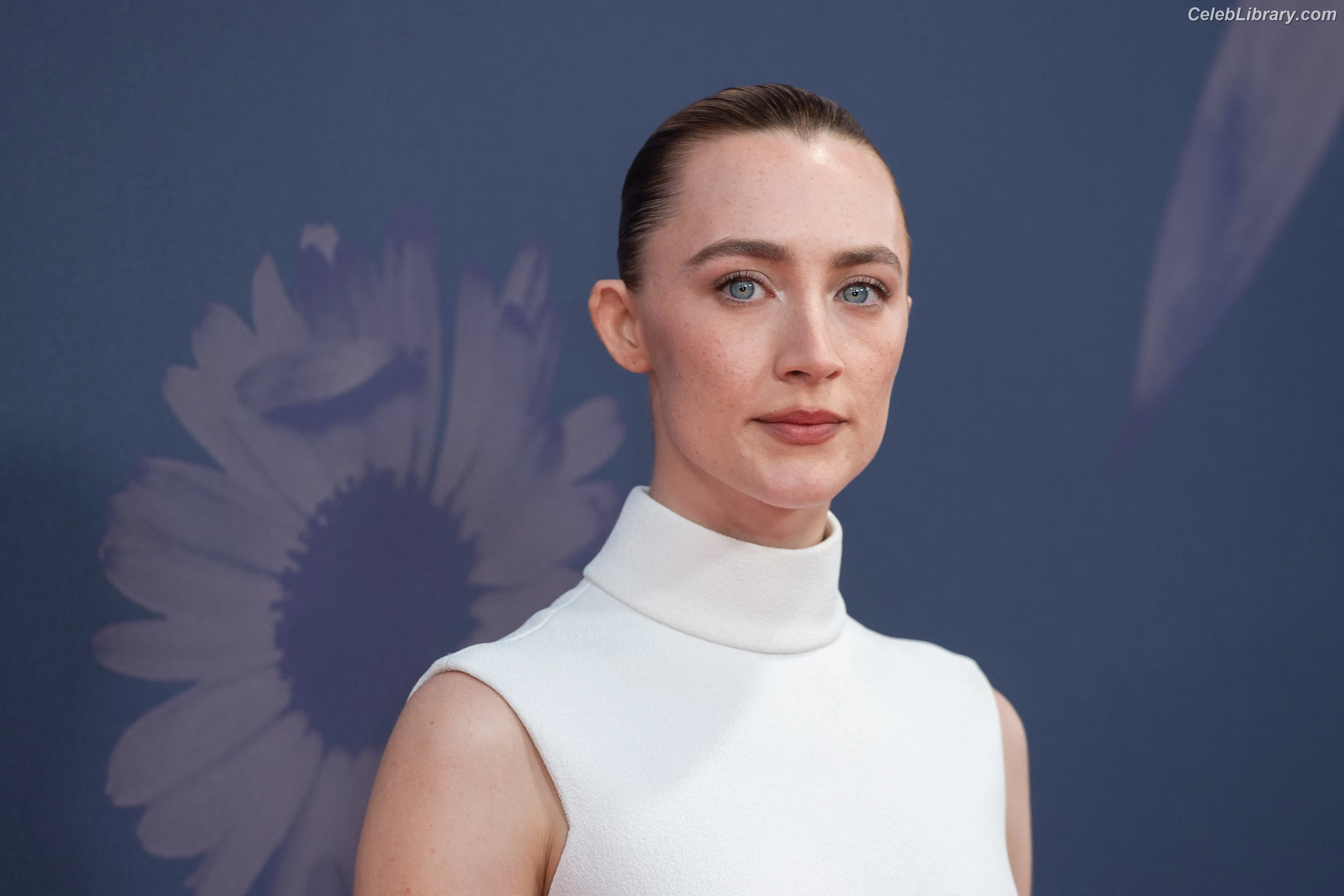 Saoirse Ronan photo 10 of 406