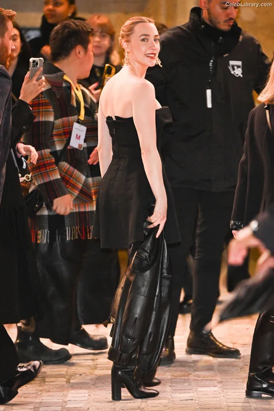 Saoirse Ronan photo 2 of 406