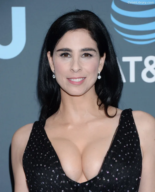 Sarah Silverman photo 2 of 134