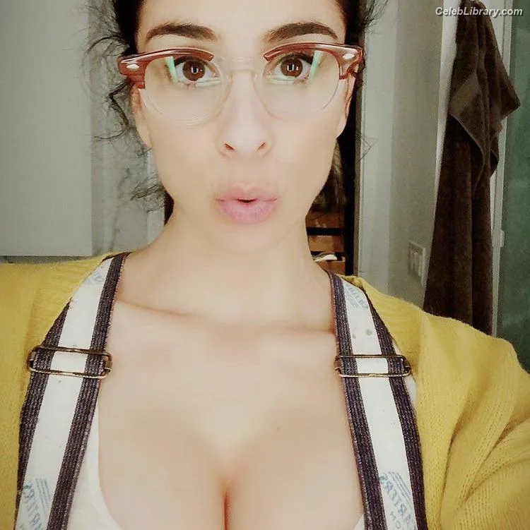 Sarah Silverman photo 3 of 134