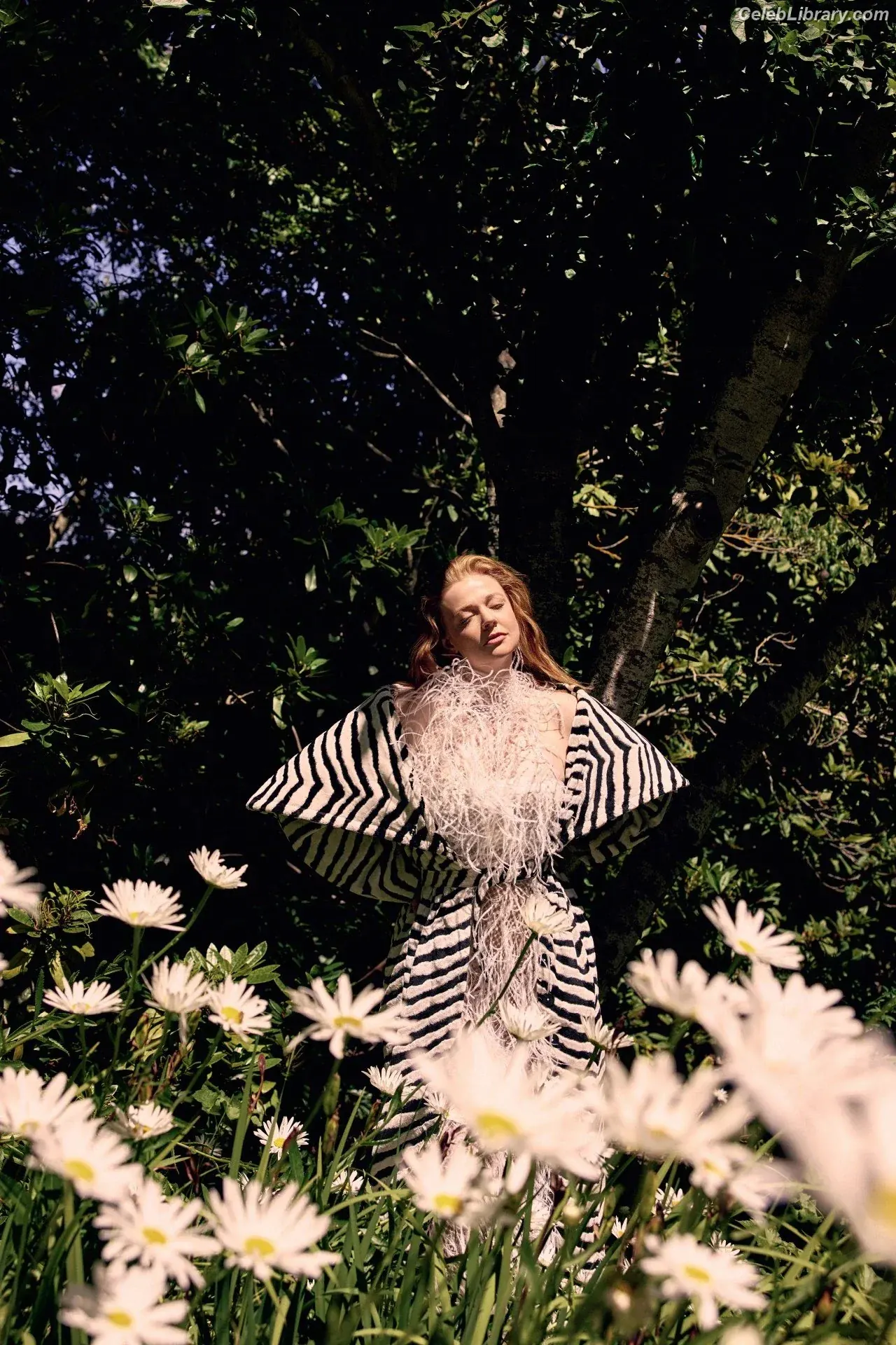 Sarah Snook photo 14 of 145