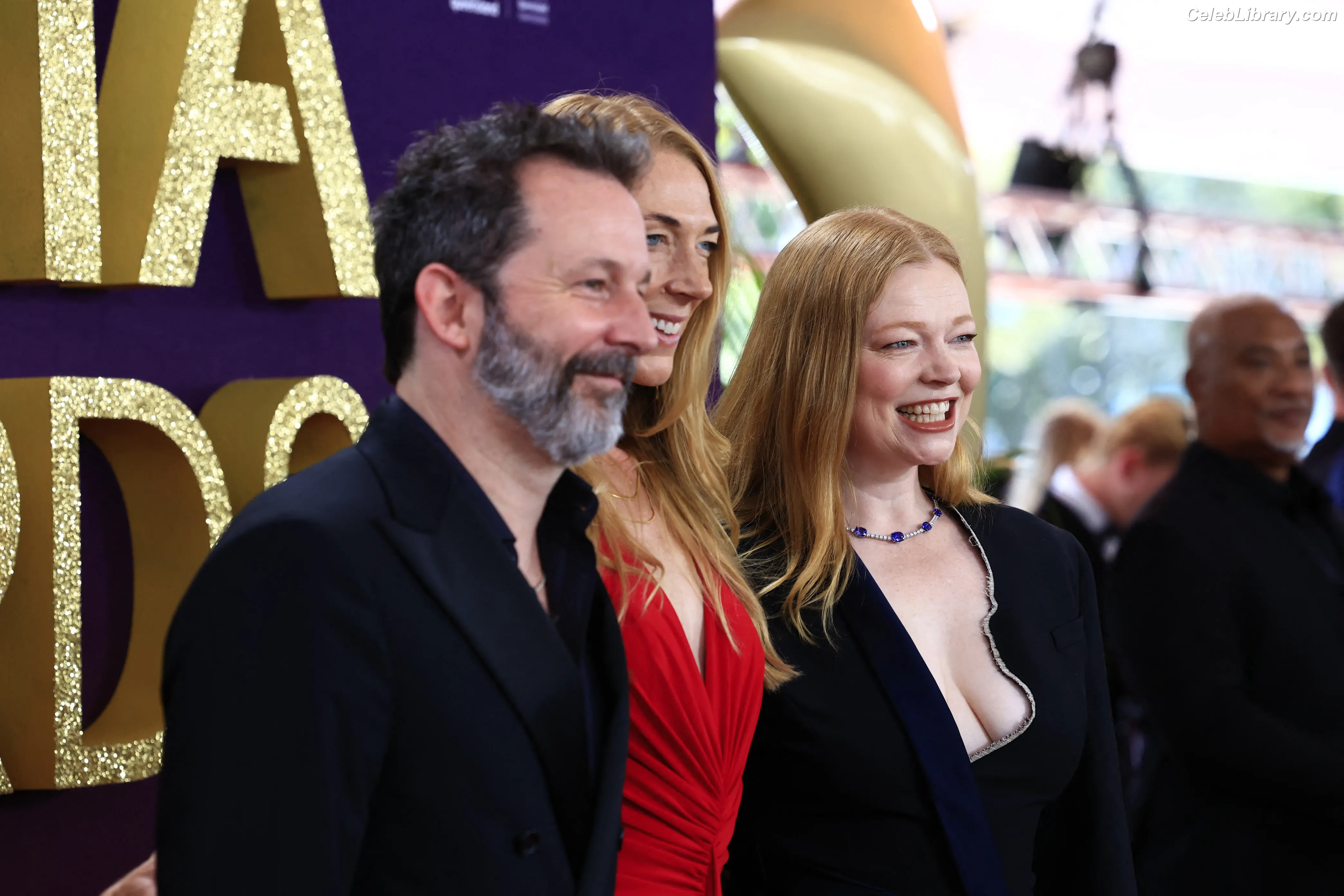 Sarah Snook photo 22 of 145