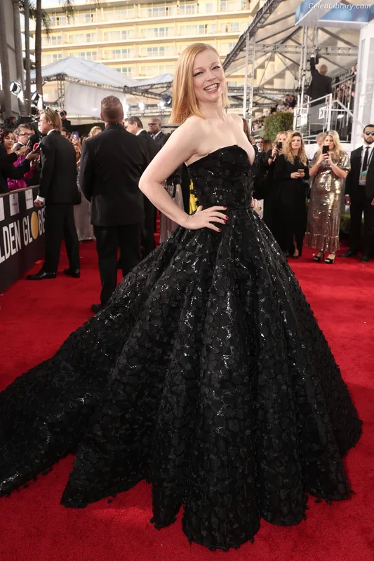 Sarah Snook photo 14 of 146