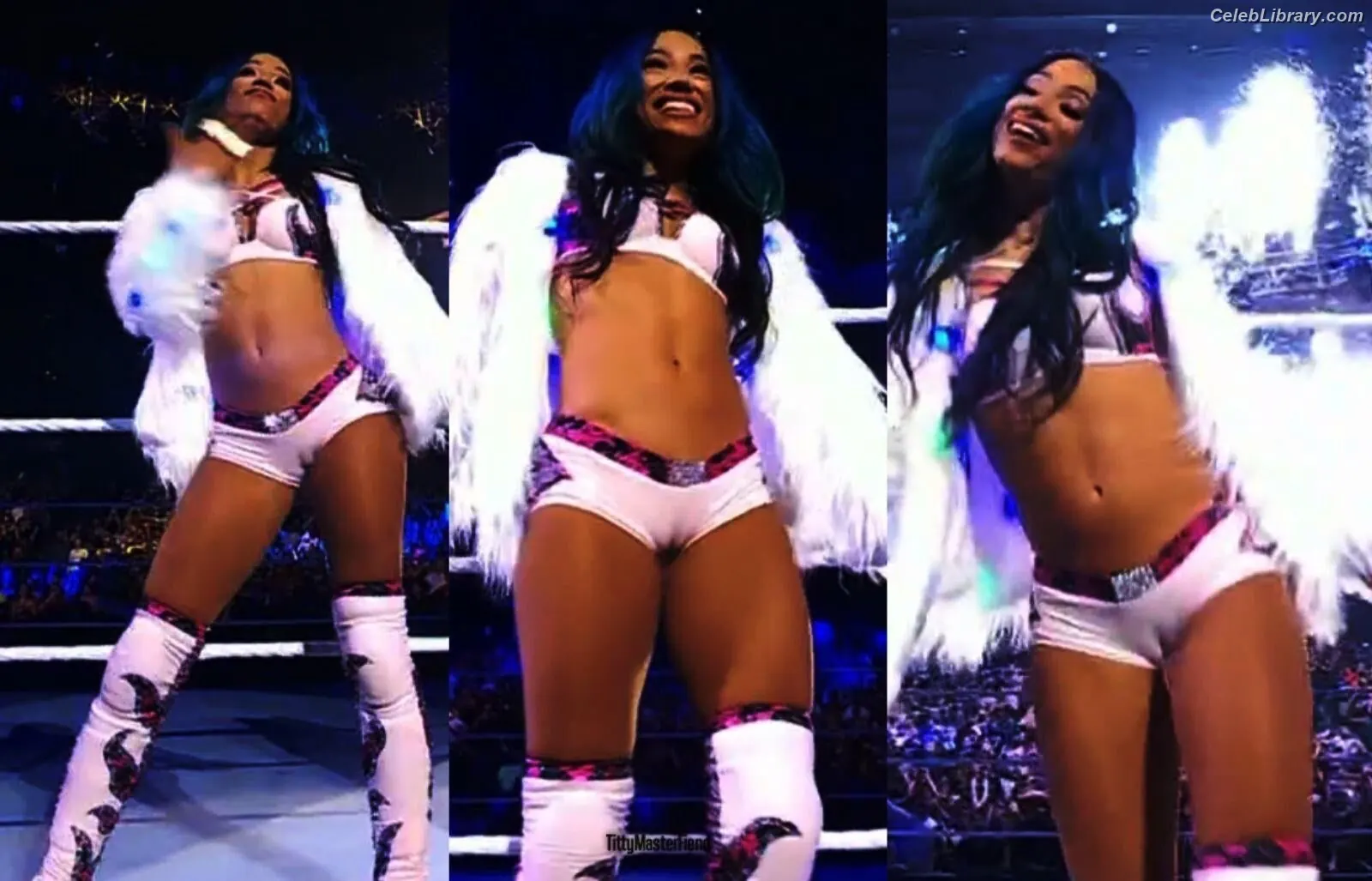 Sasha Banks photo 17 of 775