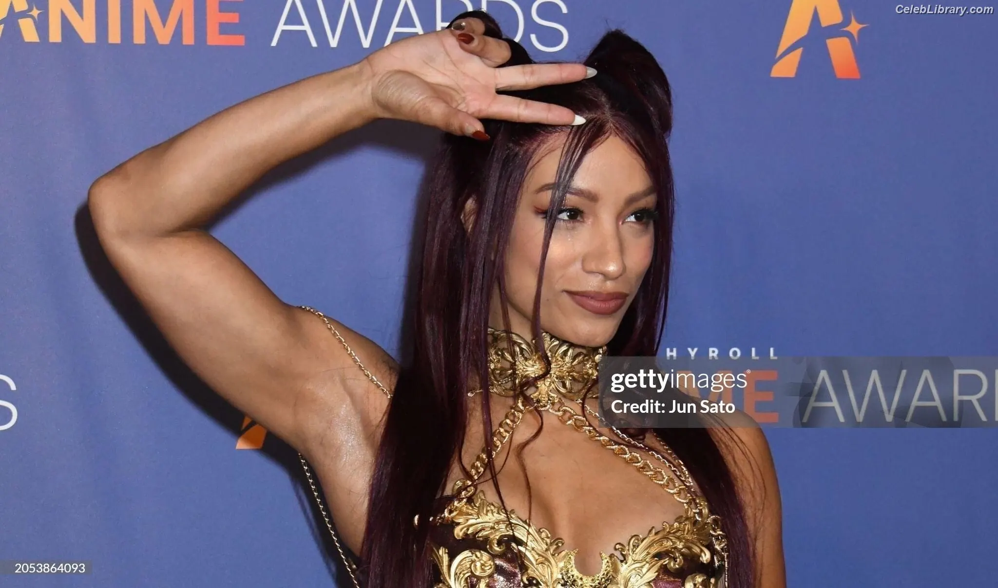 Sasha Banks photo 1 of 775