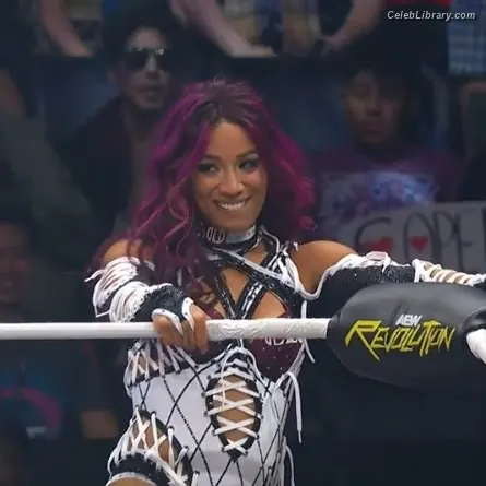 Sasha Banks photo 16 of 775