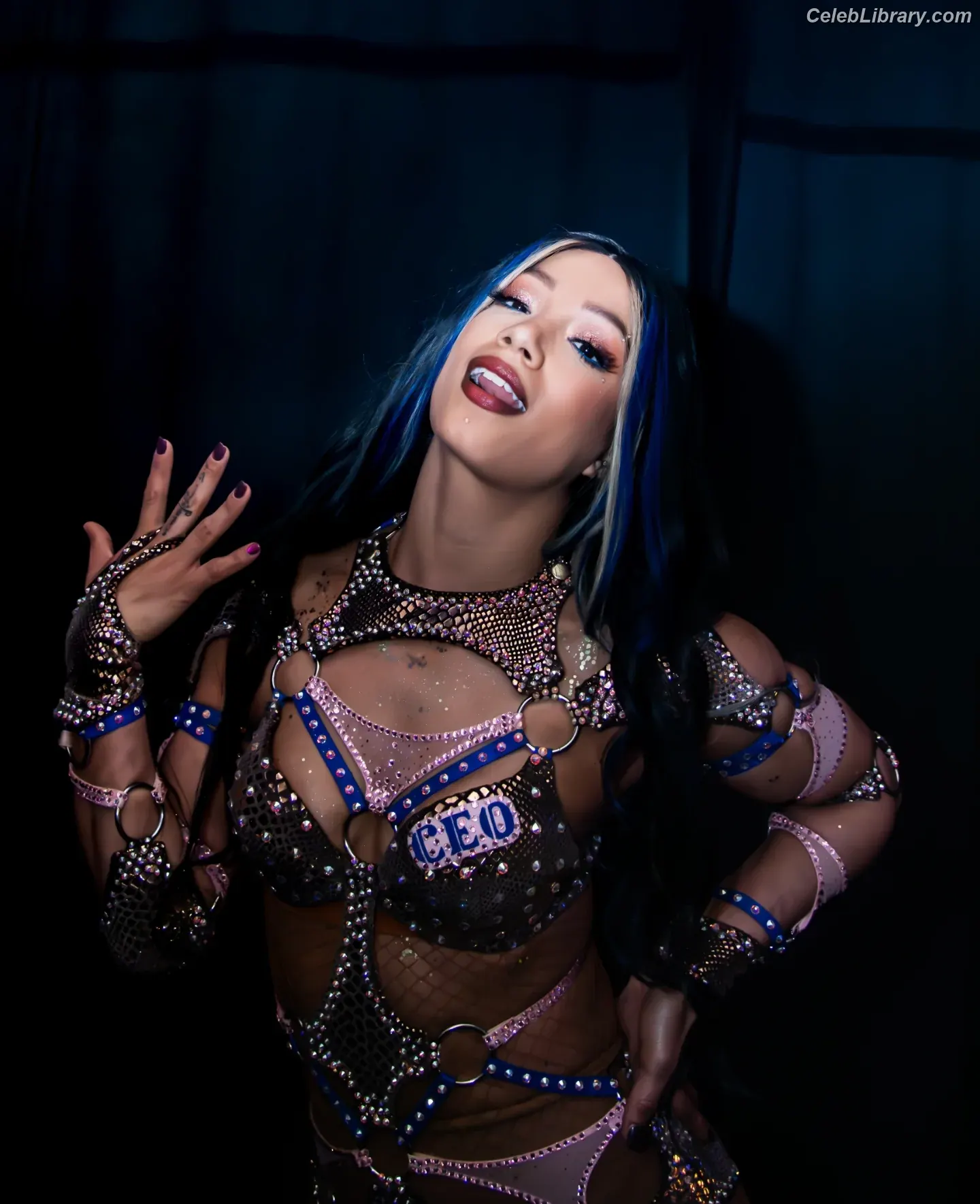 Sasha Banks photo 22 of 775