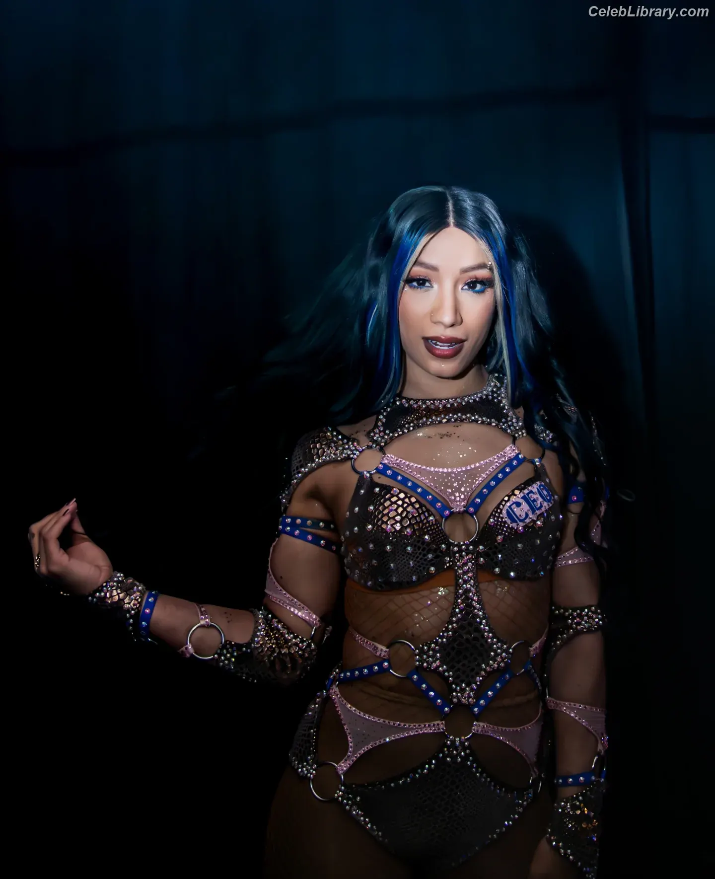Sasha Banks photo 24 of 775
