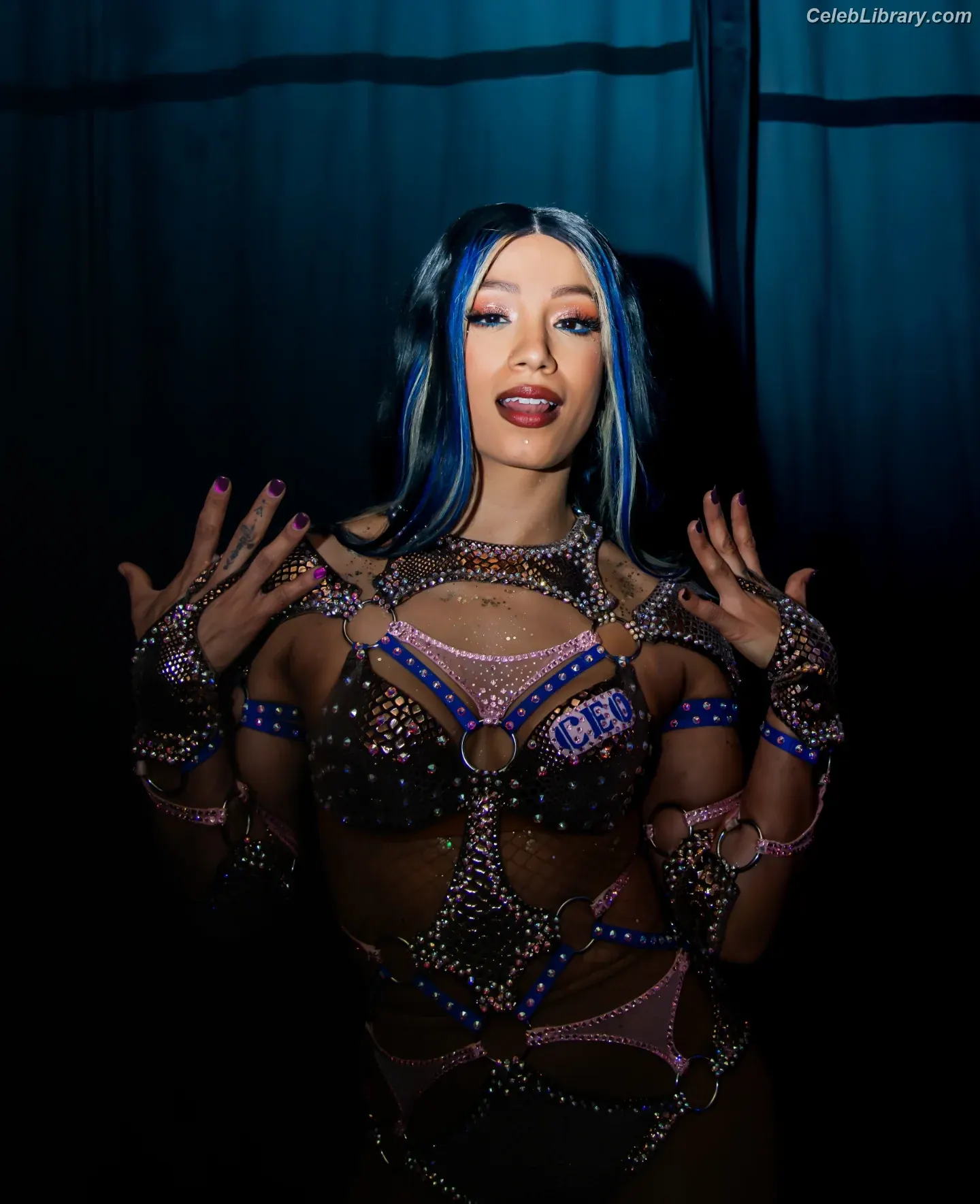 Sasha Banks photo 1 of 775