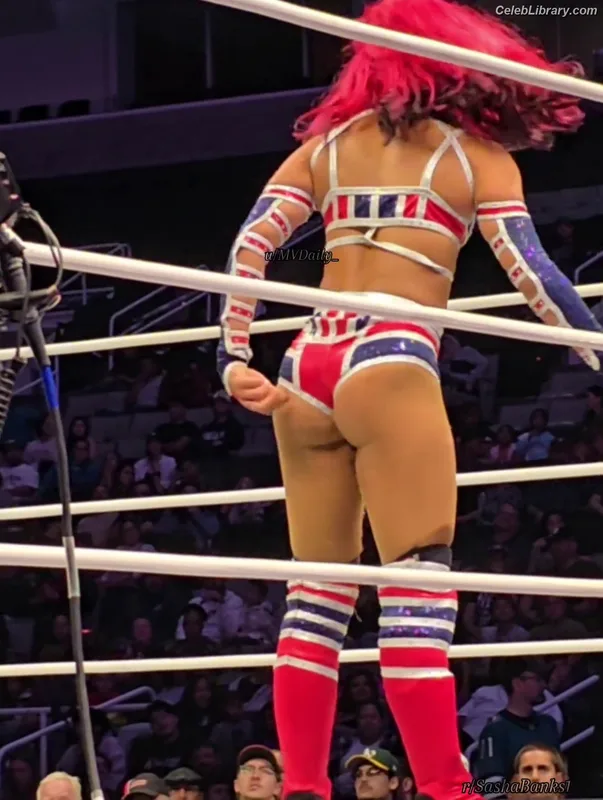 Sasha Banks photo 17 of 776