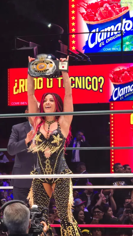 Sasha Banks photo 18 of 776