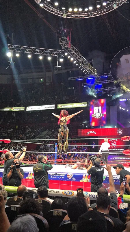 Sasha Banks photo 20 of 776