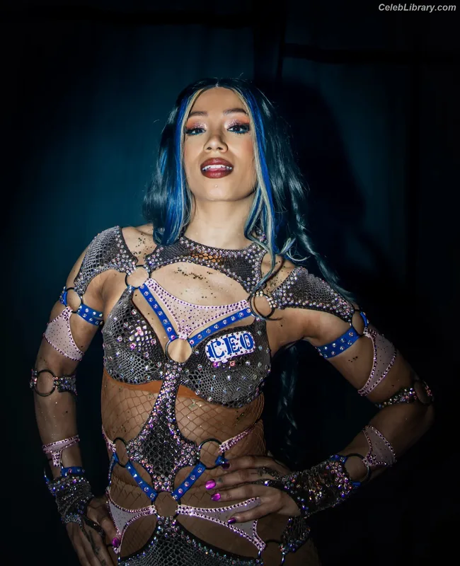 Sasha Banks photo 23 of 776