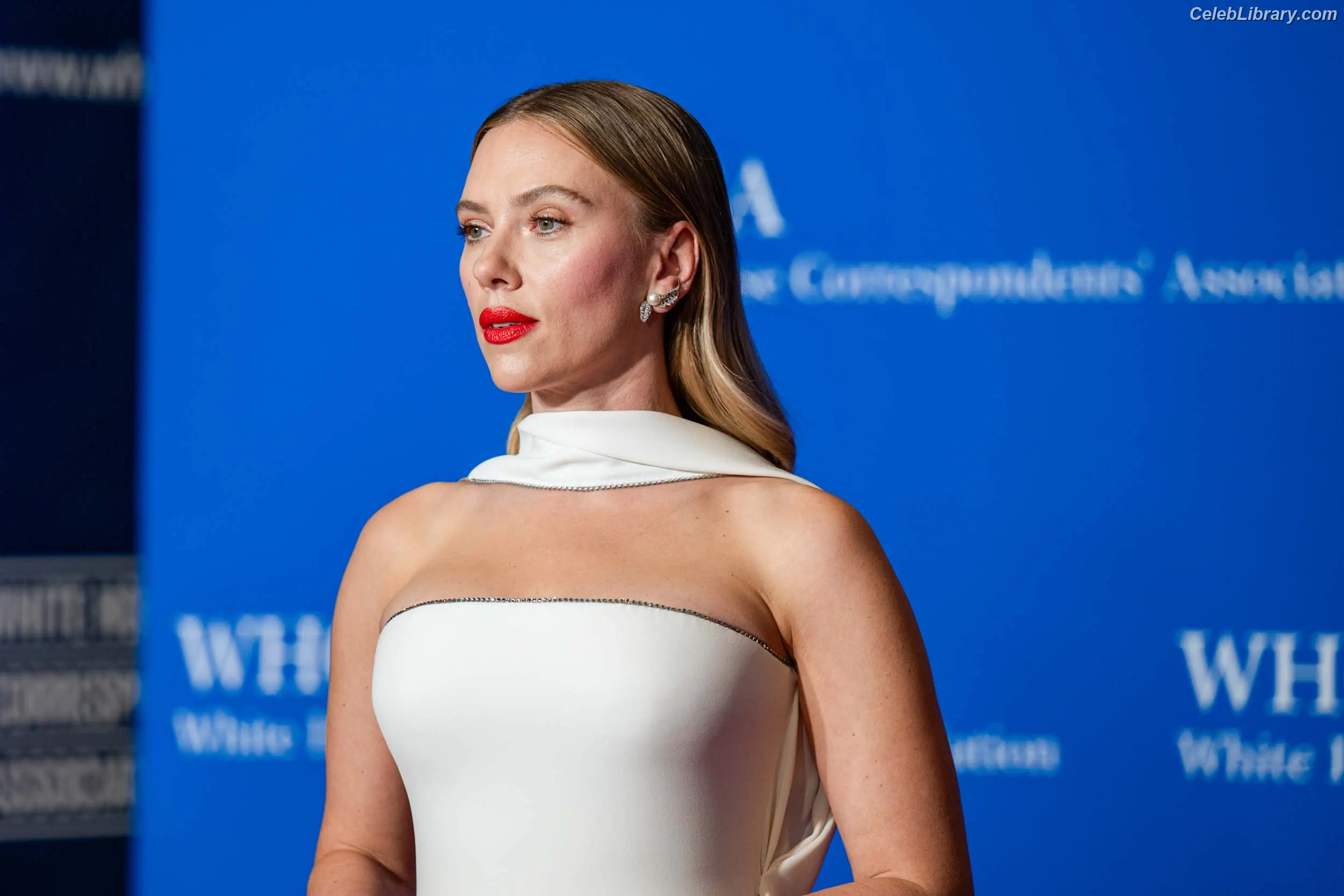Scarlett Johansson photo 12 of 2619