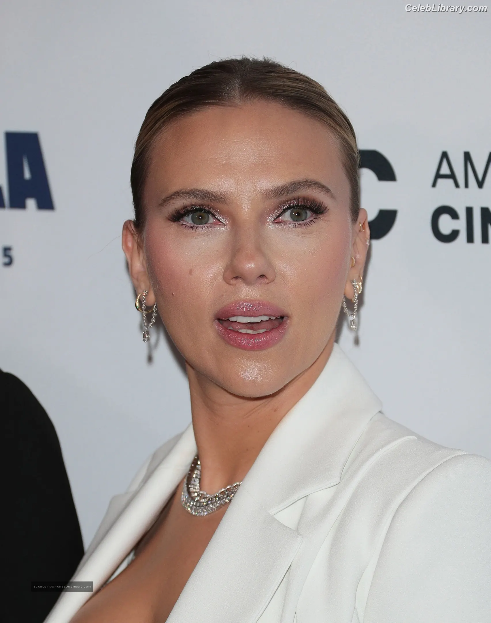 Scarlett Johansson photo 14 of 2619