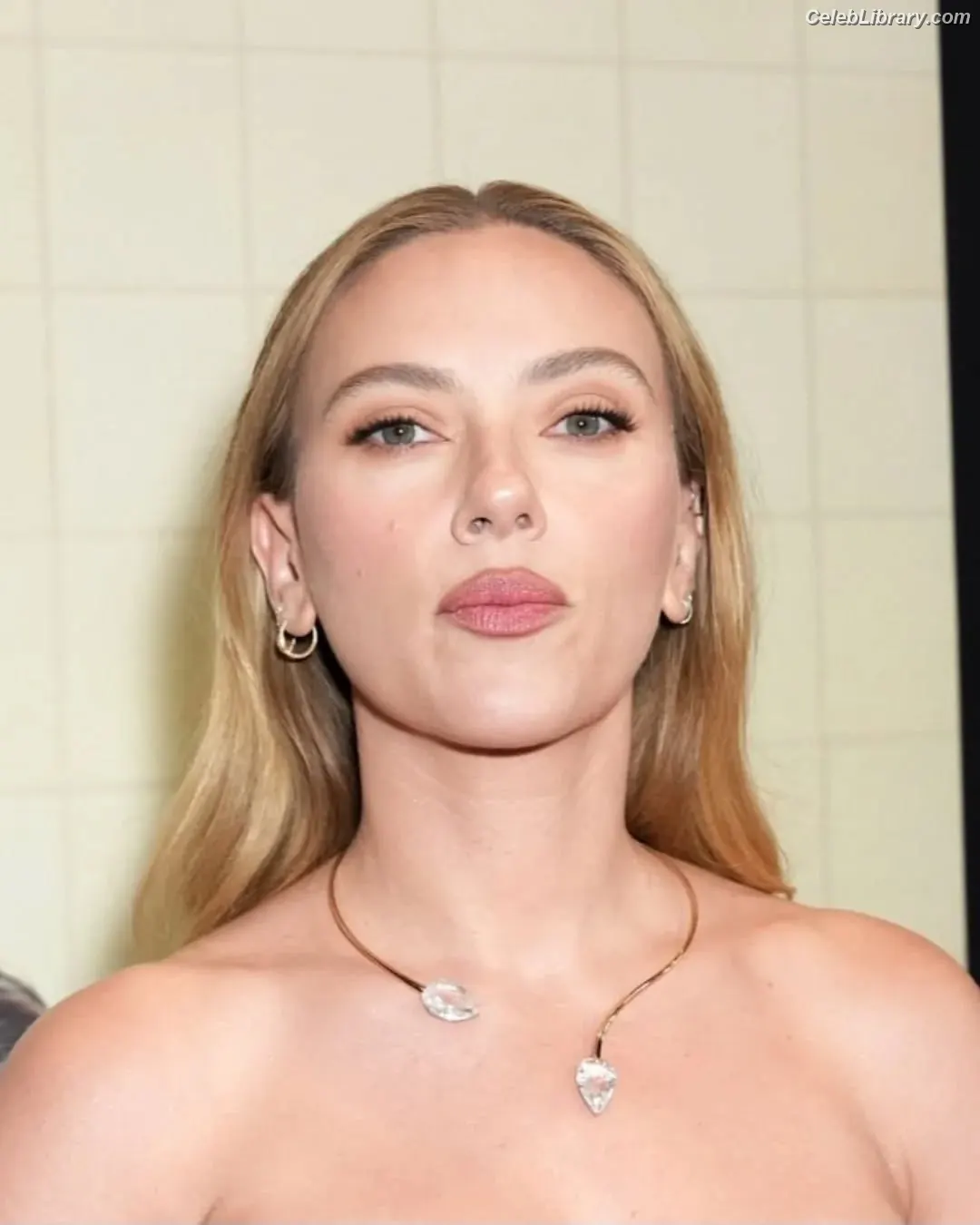 Scarlett Johansson photo 22 of 2619
