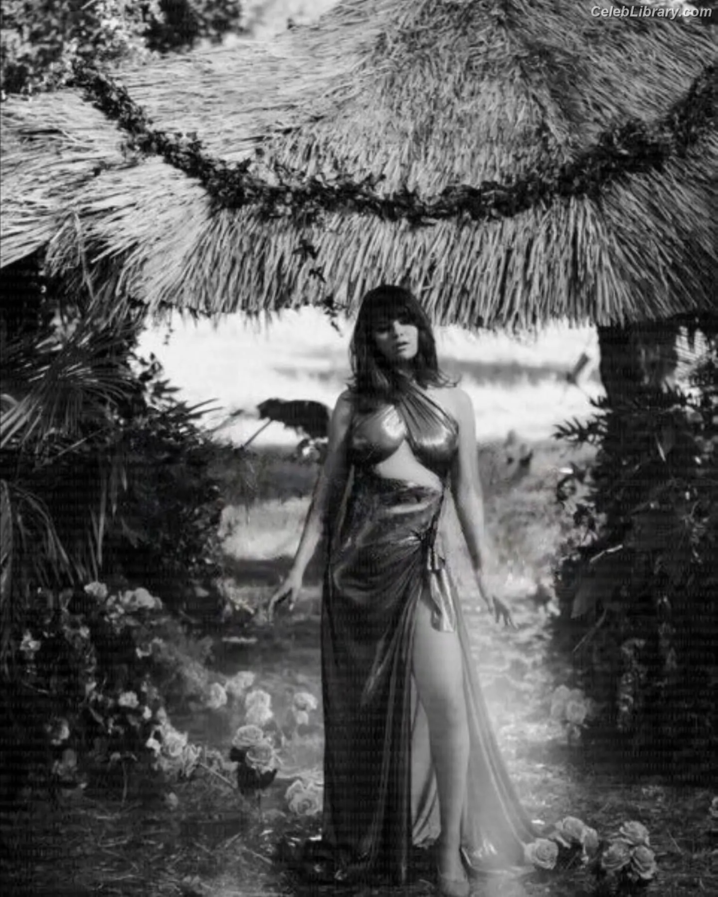 Selena Gomez photo 2 of 3542