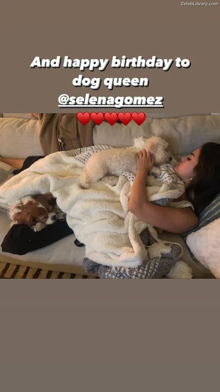 Selena Gomez photo 15 of 3523