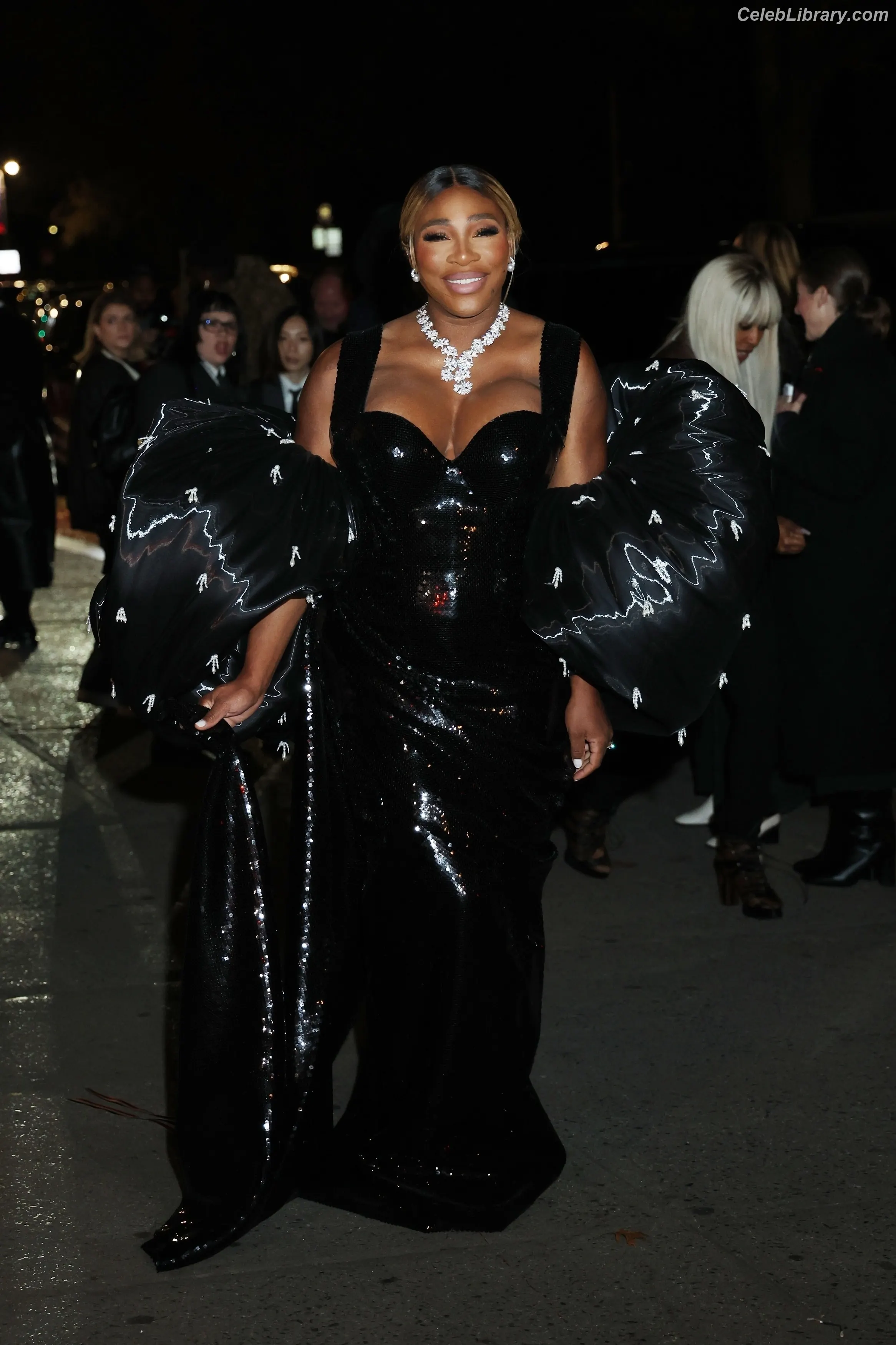 Serena Williams photo 22 of 275