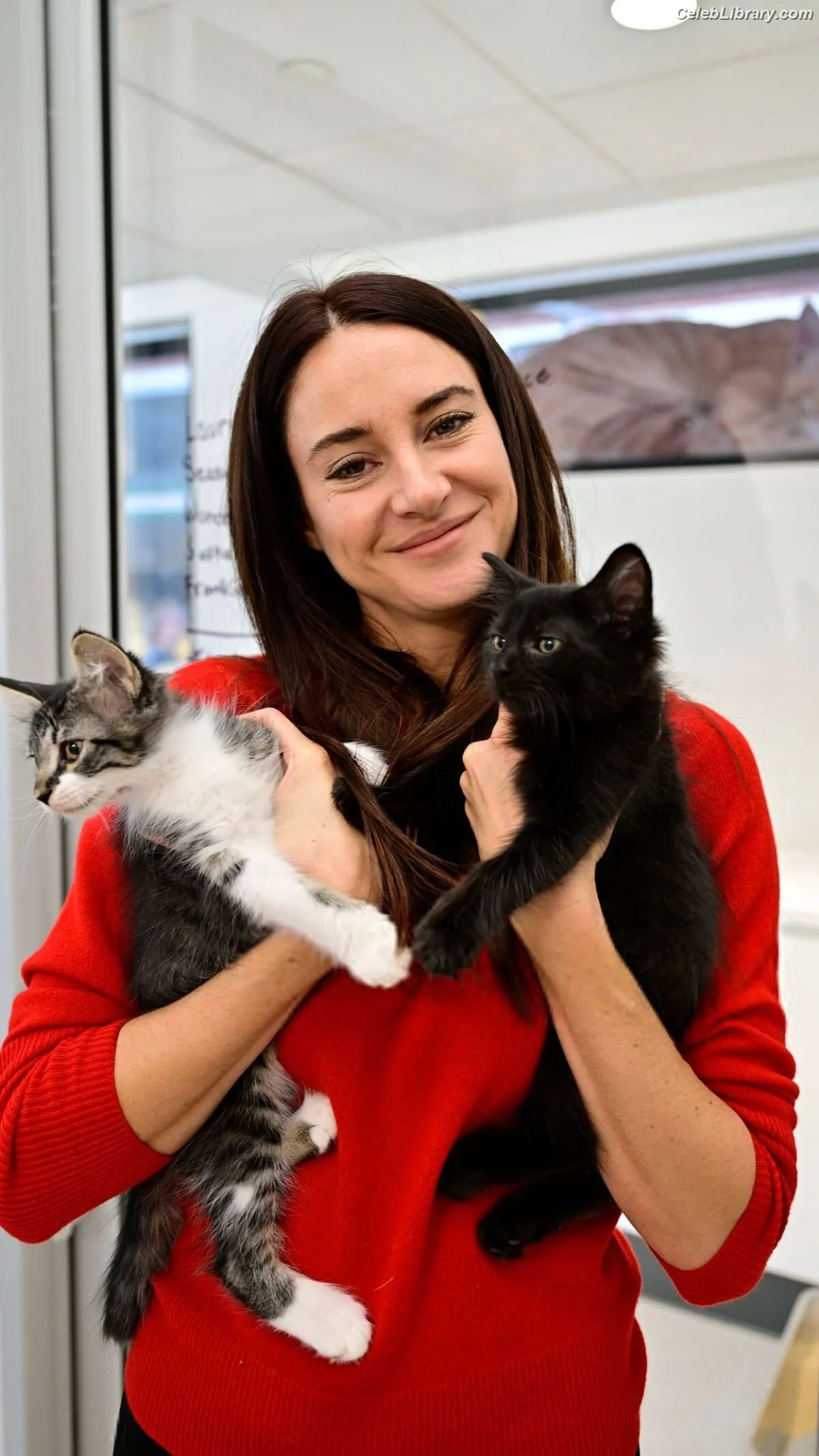 Shailene Woodley photo 18 of 1040