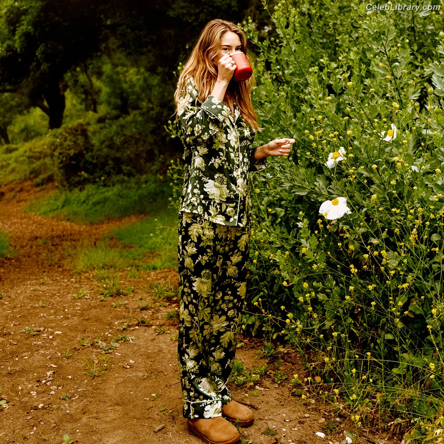 Shailene Woodley photo 13 of 1040