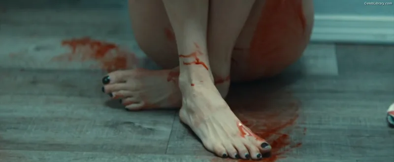 Shailene Woodley photo 16 of 1036