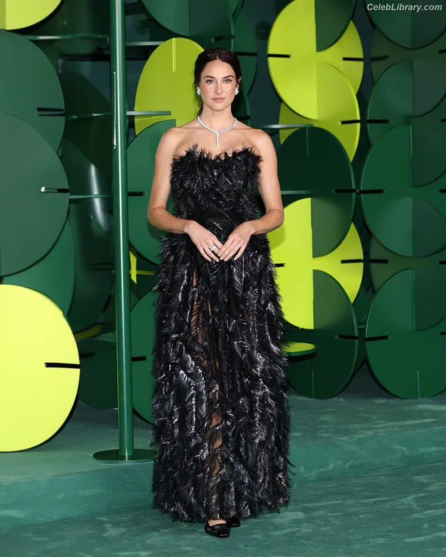 Shailene Woodley photo 9 of 1036