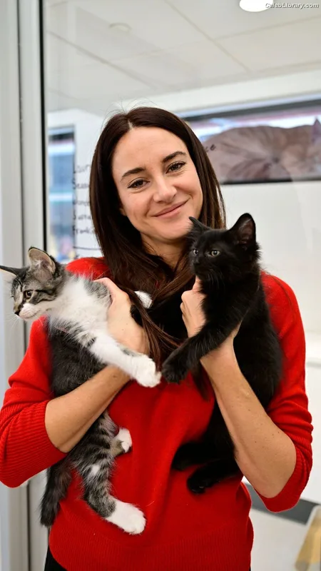Shailene Woodley photo 13 of 1036