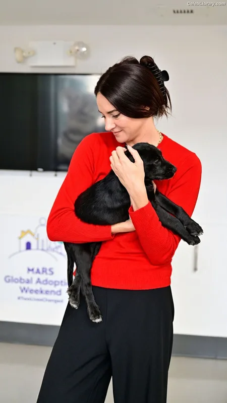 Shailene Woodley photo 18 of 1036