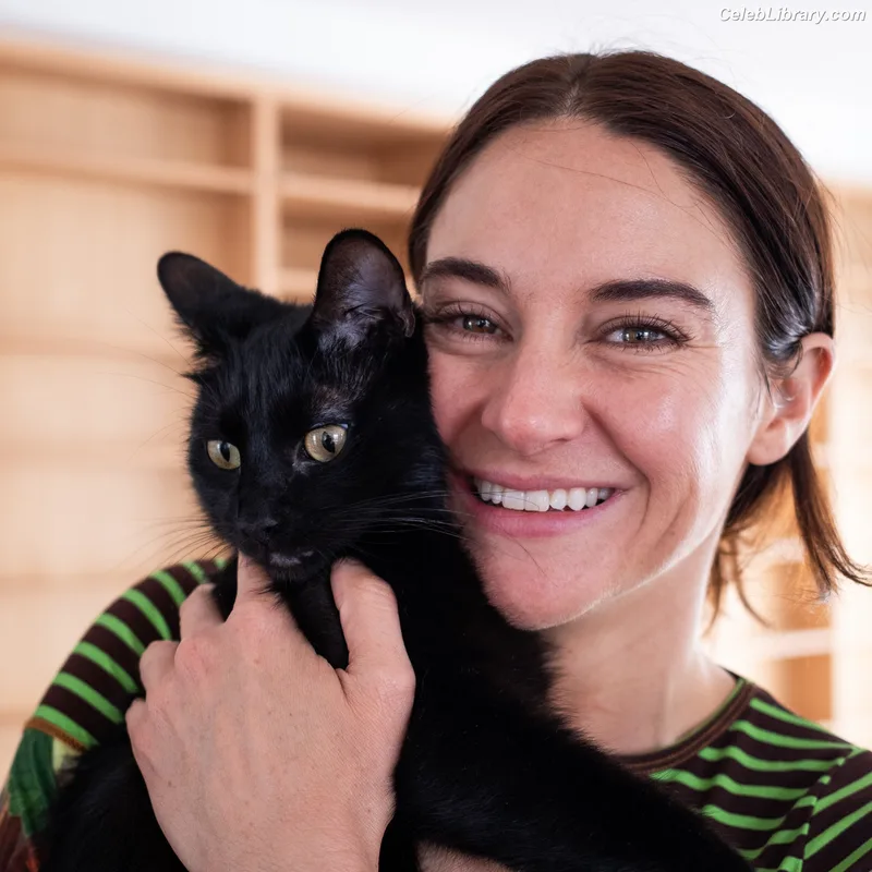 Shailene Woodley photo 18 of 1036