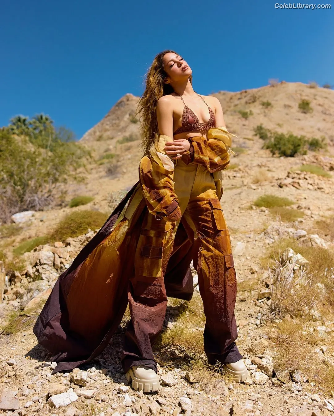 Shakira photo 4 of 1546